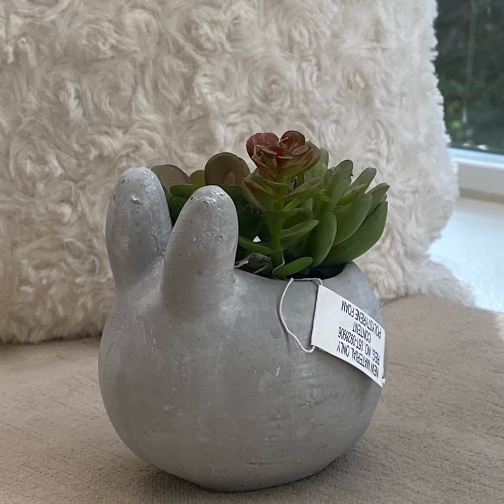 Little Succulent Filled Cement Bunny Pier 1 ~ NWT